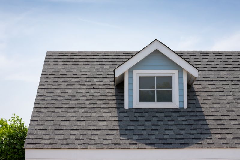 Roof Patching Service