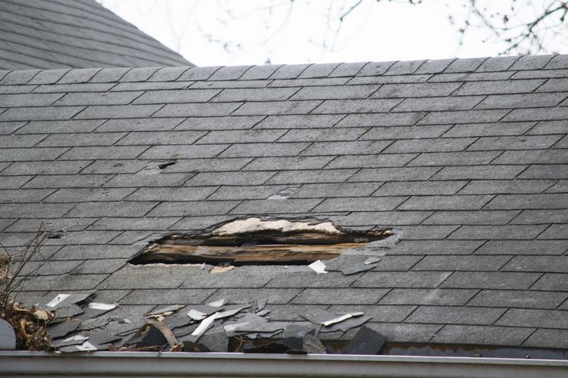 Asphalt Roof Leak Repair in Chelsea, MI