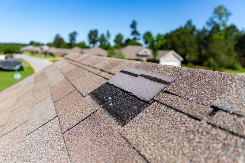 Asphalt Roof Leak Repair in Davisburg, MI