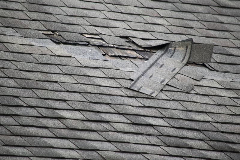 Asphalt Roof Leak Repair in Gregory, MI