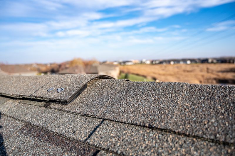 Damaged Roof Repair in Ann Arbor, MI