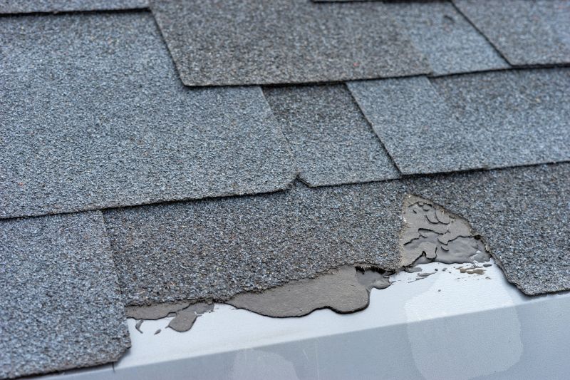 Damaged Roof Repair in Brighton, MI