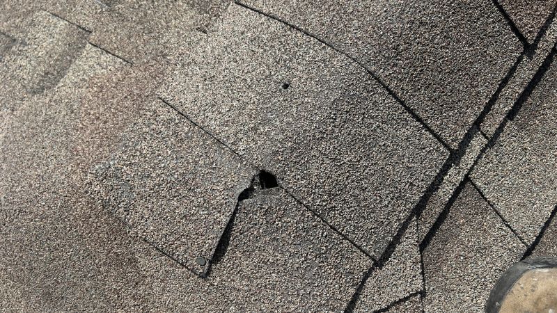 Damaged Roof Repair in Wixom, MI