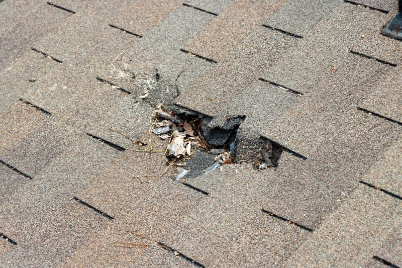 Damaged Roof Replacement in Gregory, MI