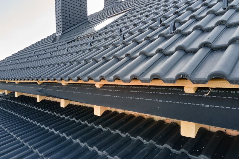 Roof Construction in Holly, MI