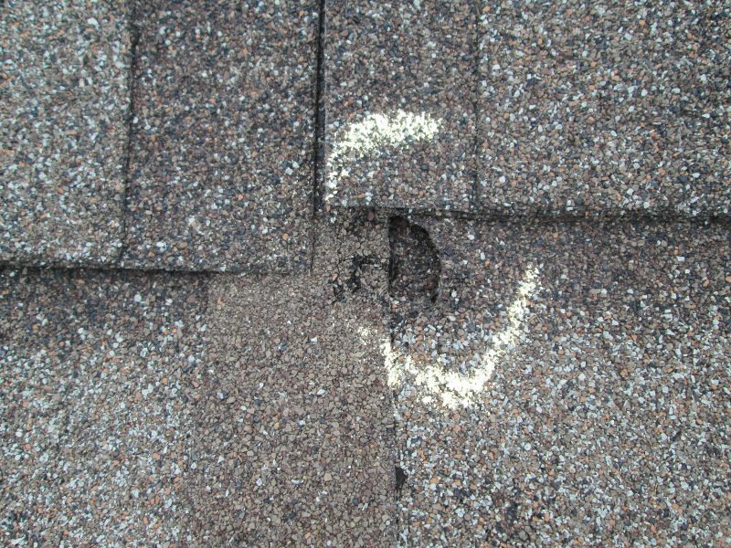 Roof Hail Damage Repair in Livingston County, MI